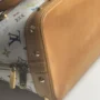 Louis Vuitton Monogram Murakami Alma PM Multicolor White