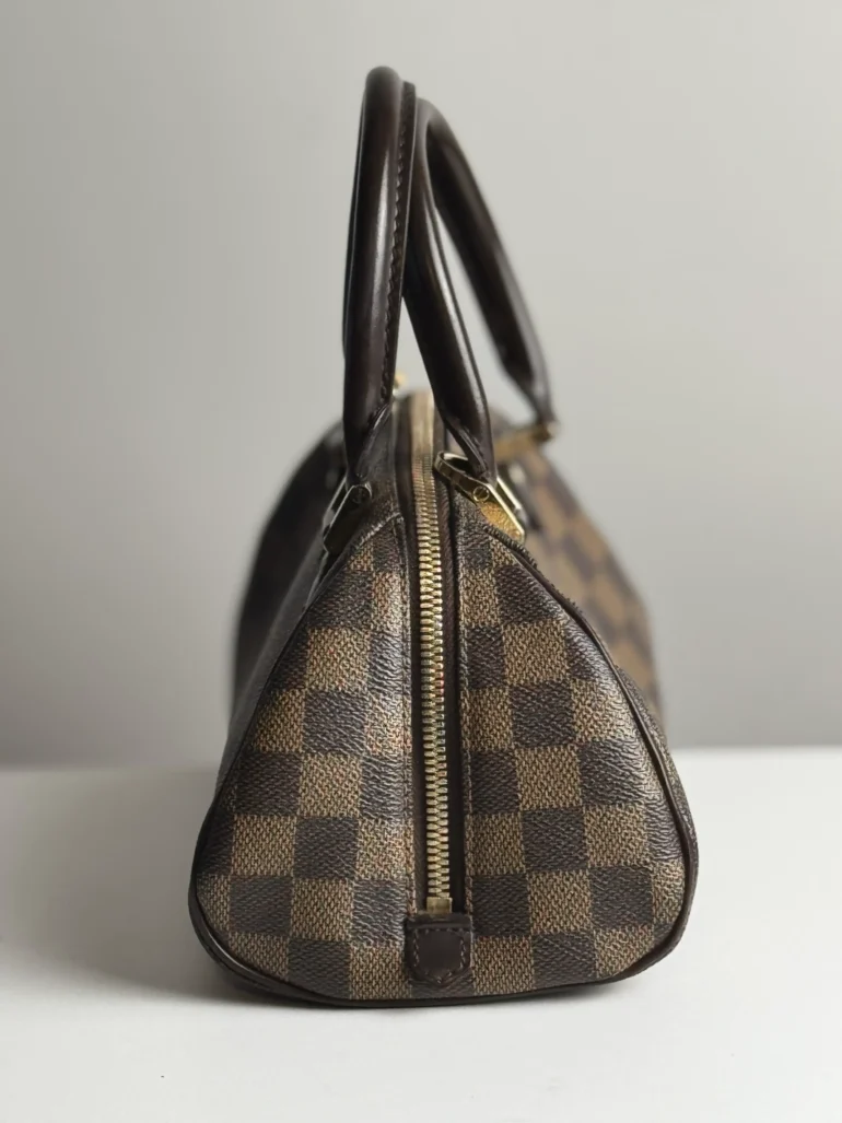 Louis Vuitton Ribera Mini Damier Ebene Tote Bag