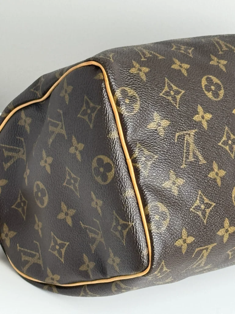 Pre Owned Louis Vuitton Speedy 25 Monogram Top Handle Bag