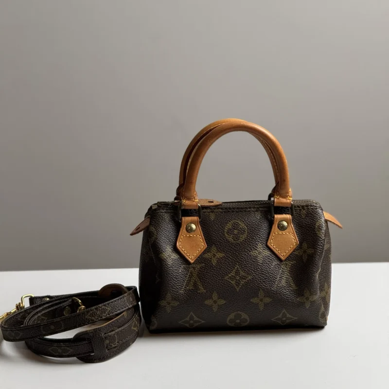 Pre Owned Louis Vuitton Monogram Speedy Nano